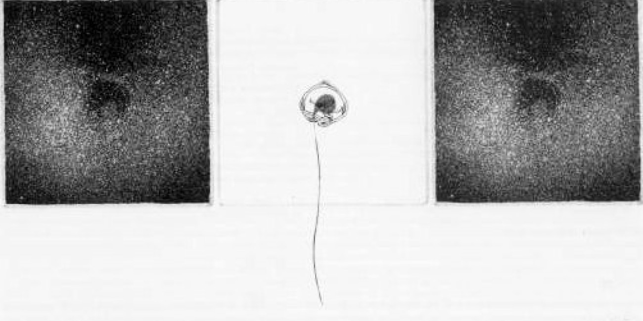 "Il sapore delle cose belle", João Pedro Cochofel, exposição "O Tortellini Divino"