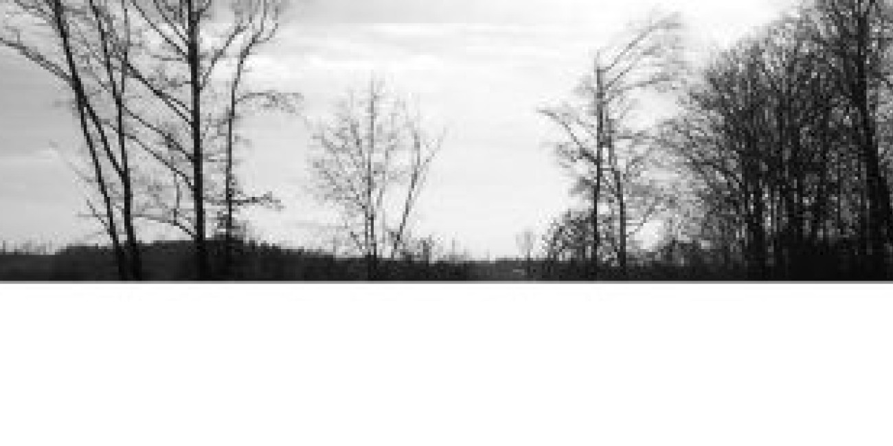 Exposição "Statics" Jorge de Sousa Noronha