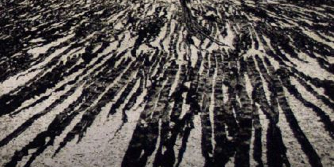 Exposição "photogravures", Peter Miller