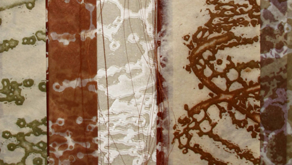 Dynamic pattern · Pormenor · -0001