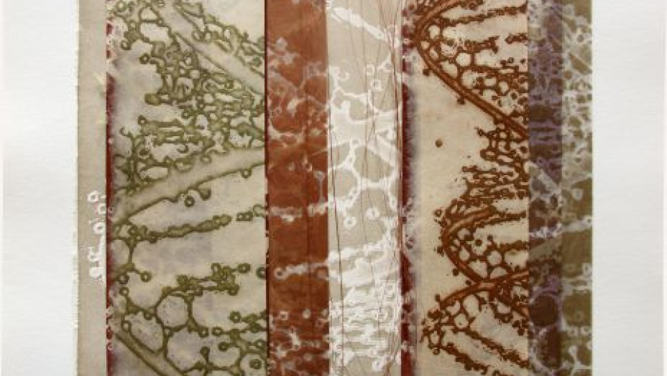 Dynamic pattern · Água-tinta de açúcar, Chine collé, Costurado a fio de cobre · 2005 · 35,5 x 25,5 cm