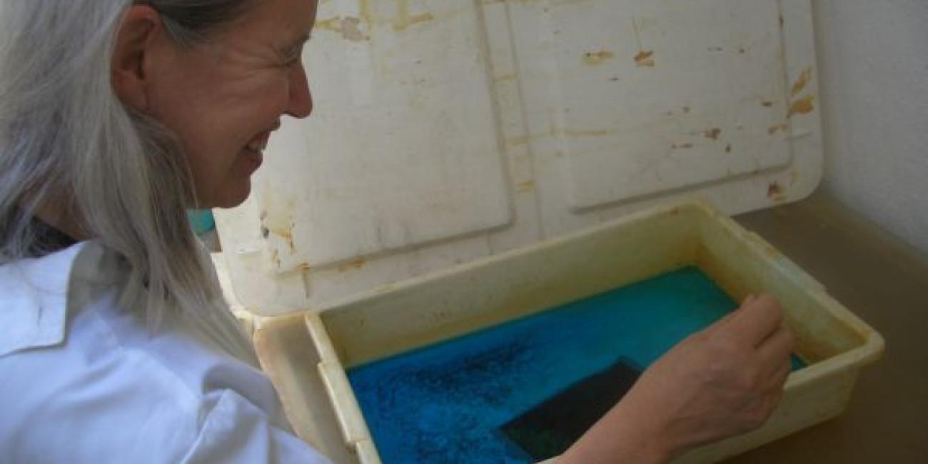 Workshop Teresa Pato, Fátima Ferreira e Margarida Lourenço