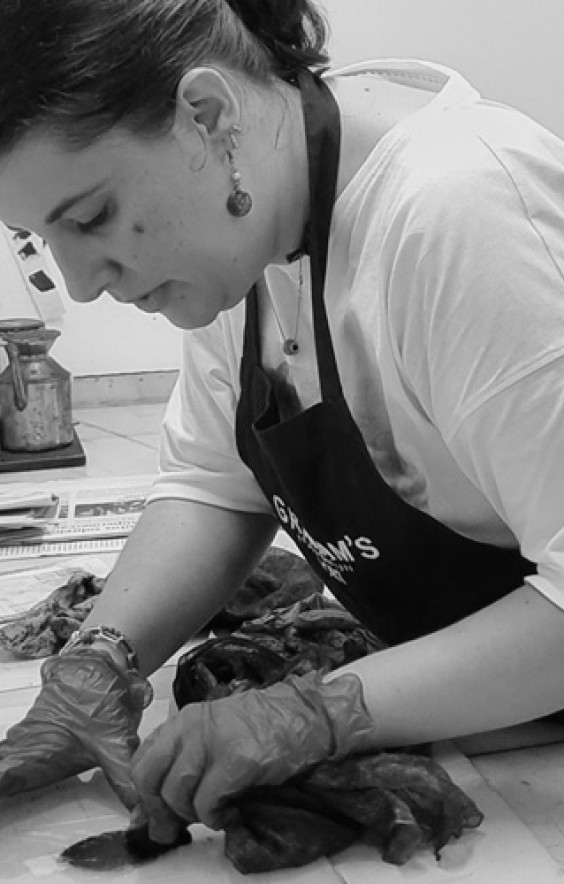 catarina freire tratada · 2024