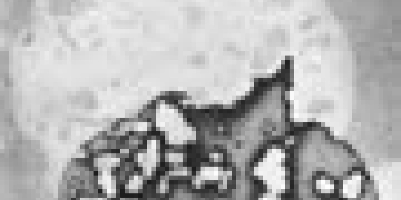 Botelho de Sousa na exposição colectiva