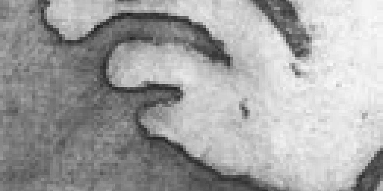 Gilberto Guerreiro na exposição colectiva