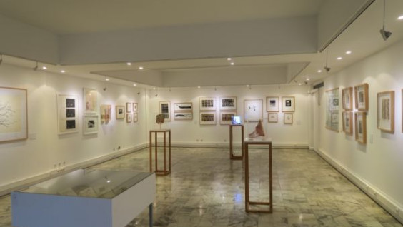 Exposição Colectiva "15 Anos da AGAF", Seixal