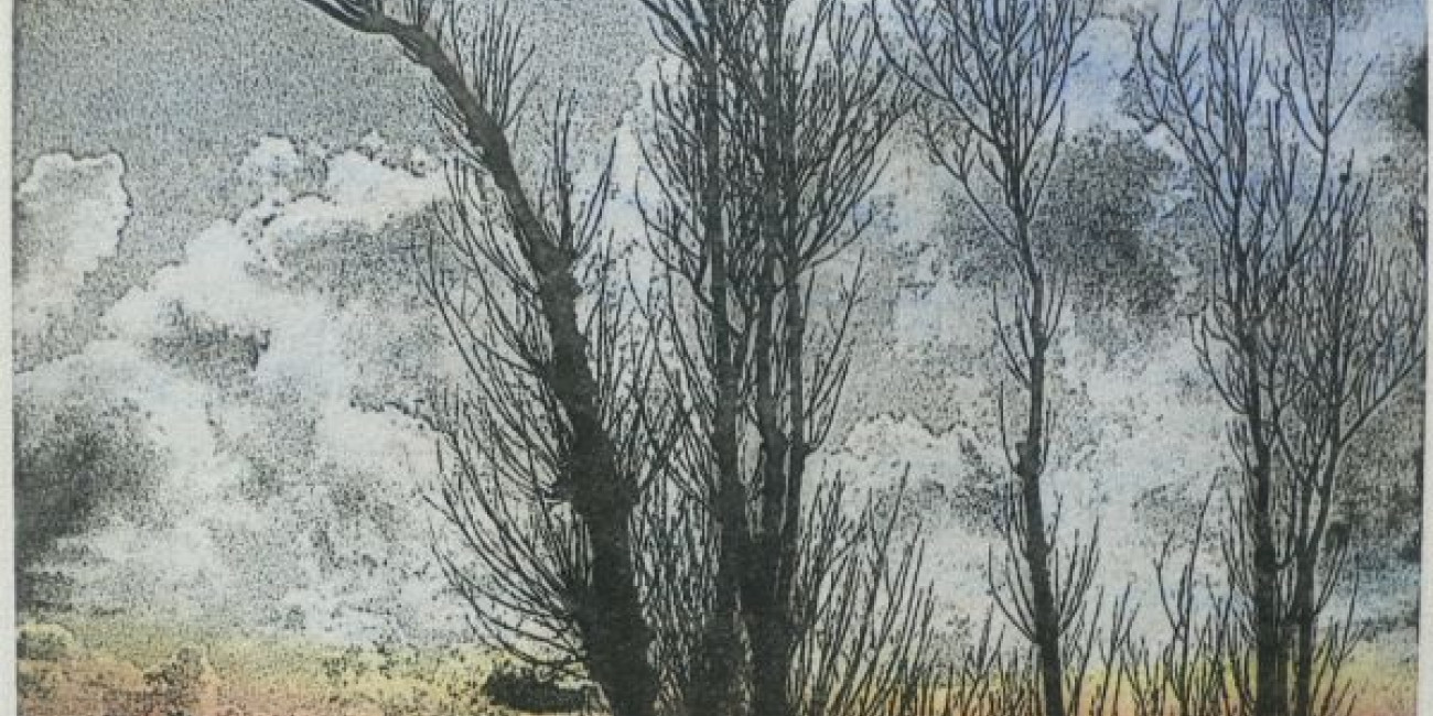 Margarida Lourenço, Projecto de Intercâmbio entre Associações