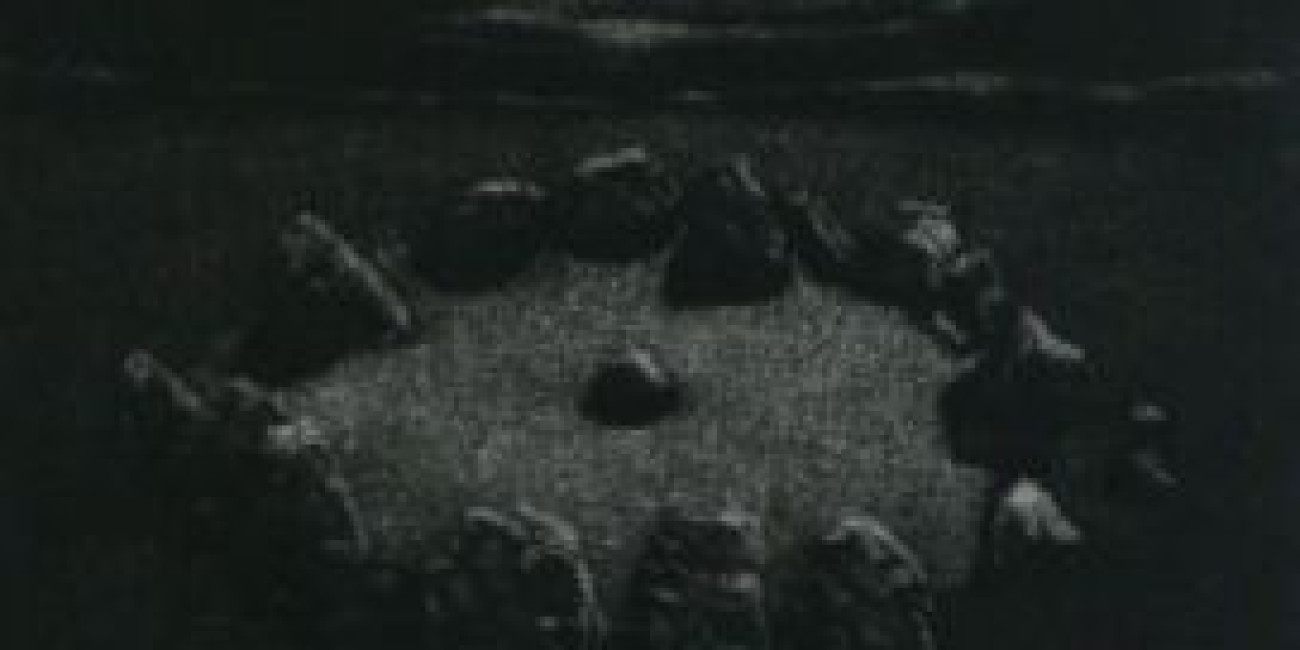 "À procura da Ordem" Madalena Fonseca, Projecto de Intercâmbio entre Associações