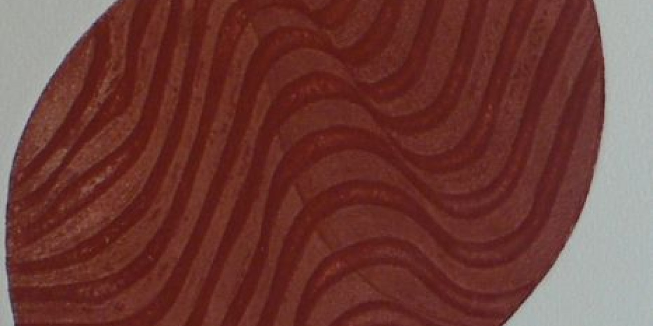 "Renascer" Mami Higuchi, Projecto de Intercâmbio entre Associações