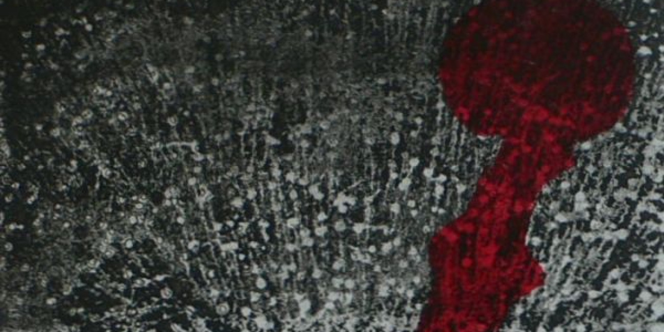 "Flor de Ti" Carolina Figueiredo, Projecto de Intercâmbio entre Associações