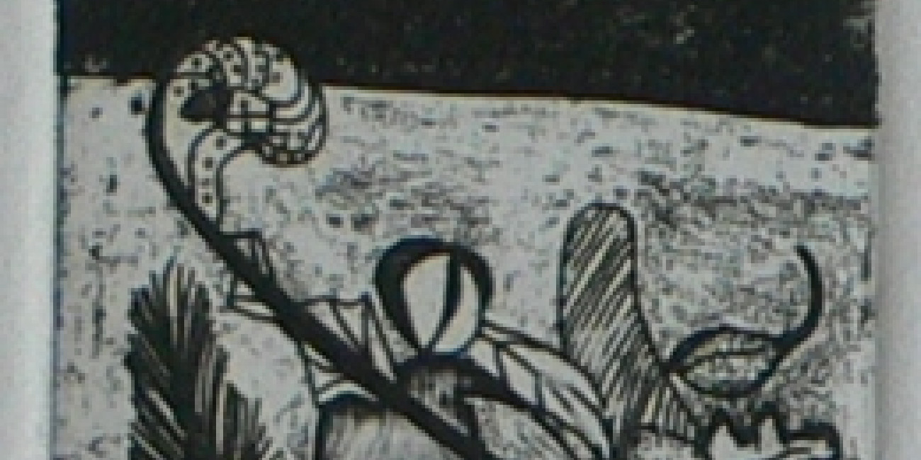 Teresa Pedroso, Projecto de Intercâmbio entre Associações