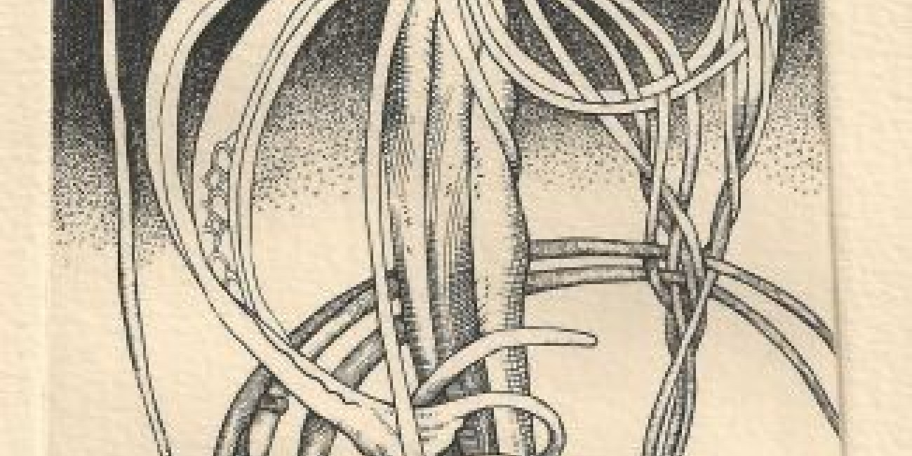 Exposição Francis Haley