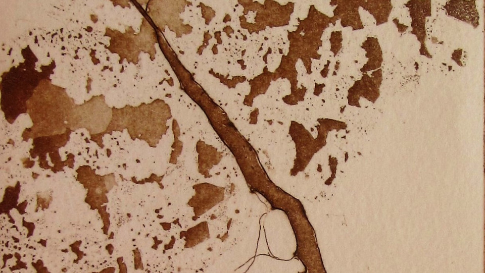  ...a chamar o Outono · buril, água forte, água tinta · 2014 · 25 x 18