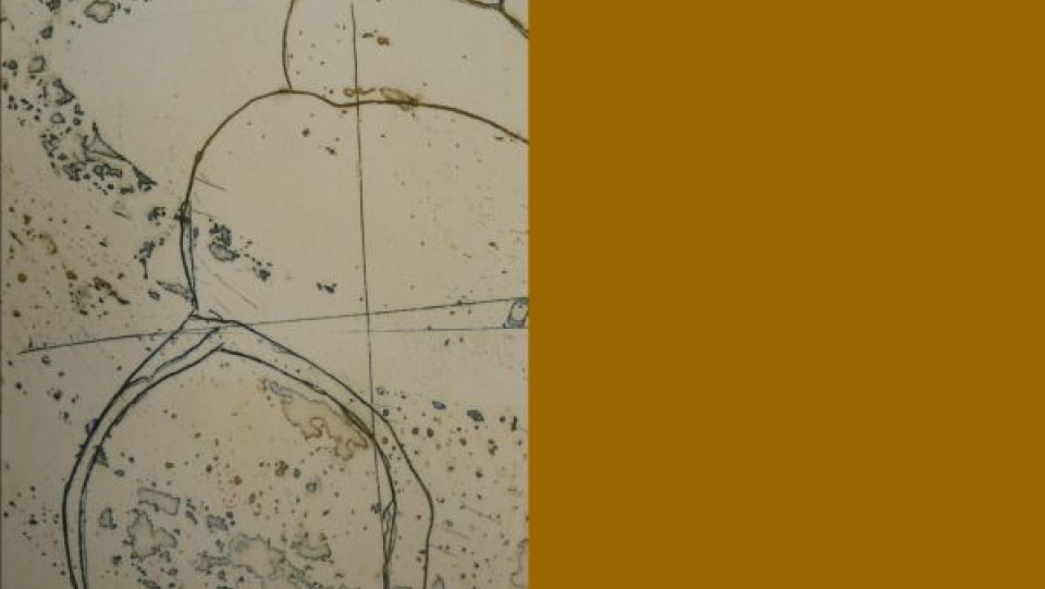 Manuel Lopes · 2018