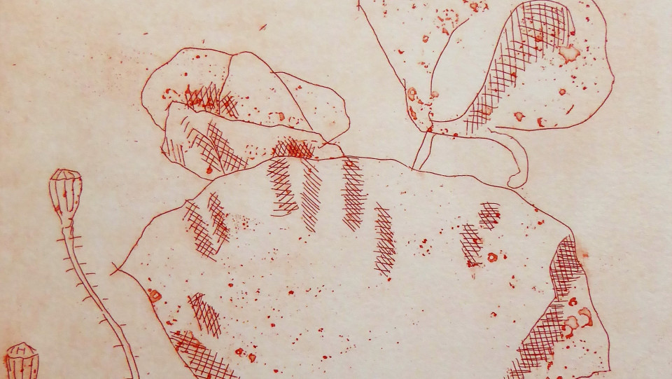 simples · verniz mole e água tinta de açúcar · 2008 · 28 x 18