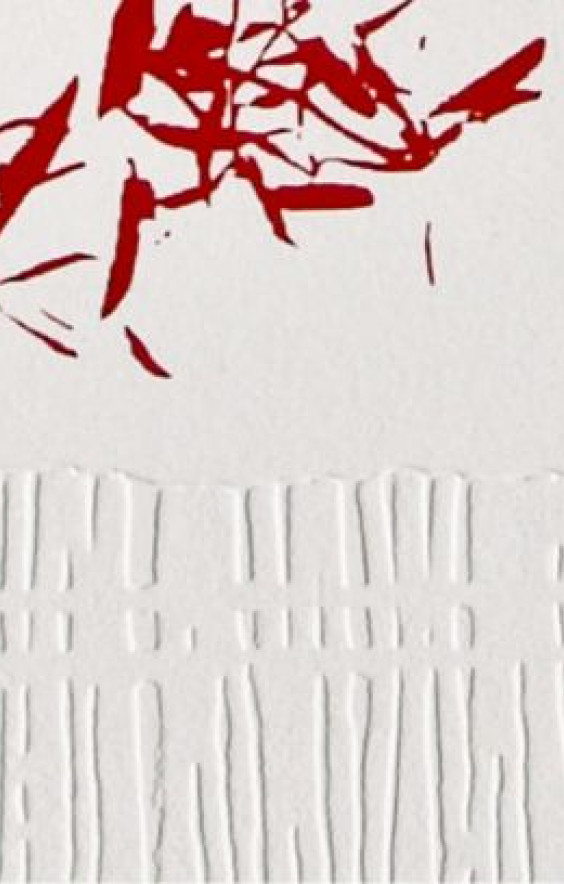 Fragilidade (Pormenor) · Gravura em seco, Água-forte, Água tinta e Serigrafia · 2009 · 76,0X53,5cm