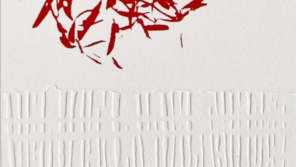 Fragilidade (Pormenor) · Gravura em seco, Água-forte, Água tinta e Serigrafia · 2009 · 76,0X53,5cm