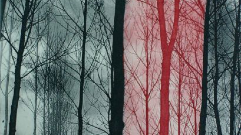 Apontamentos 1-a · Fotopolímero · 2006 · 50X40cm