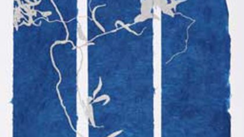 Viagem 5 · Serigrafia sobre papel do Nepal · 2009 · 50X40cm