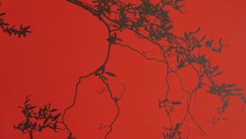 Frágil · Gravura em seco, Água-forte, Água tinta e Serigrafia · 100X70cm