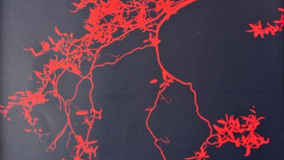 Muito Frágil · Gravura em seco, Água-forte, Água tinta e Serigrafia · 100X70cm