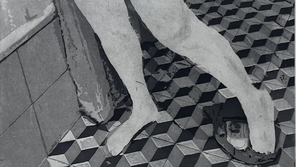 women nature ii · 2024