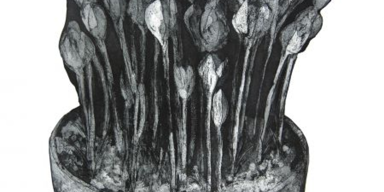 Exposição Maria Sassetti "Succulent Hortis"