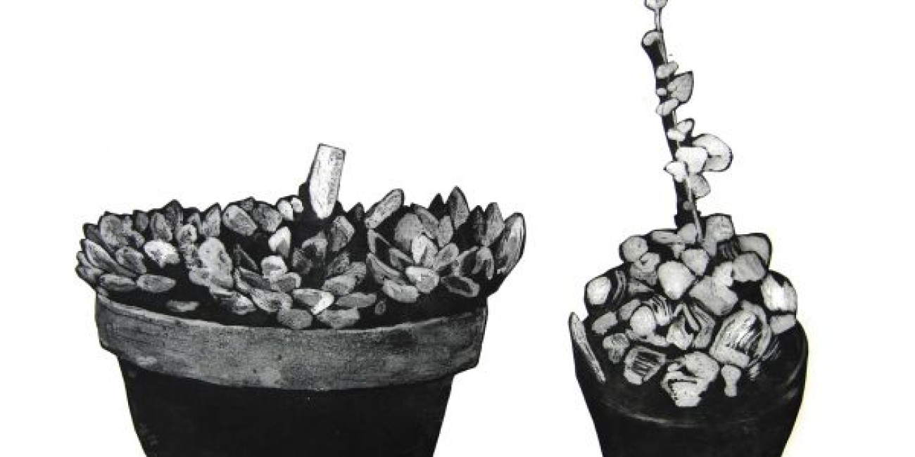 Exposição Maria Sassetti "Succulent Hortis"