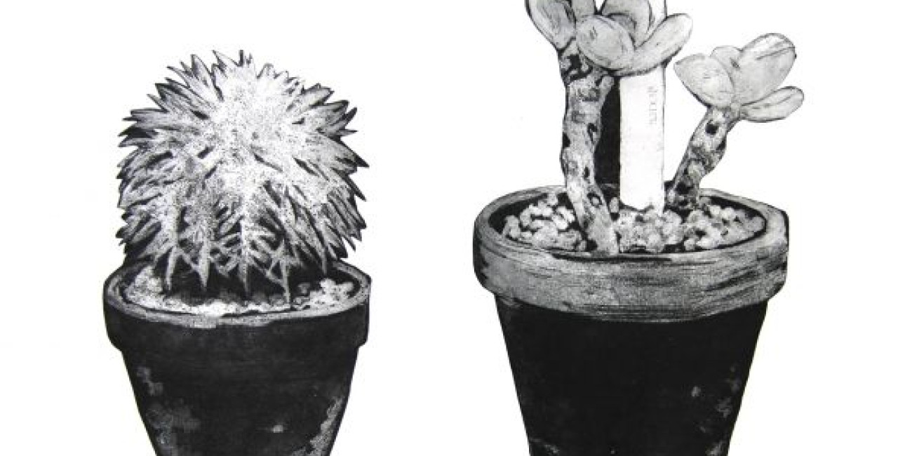 Exposição Maria Sassetti "Succulent Hortis"