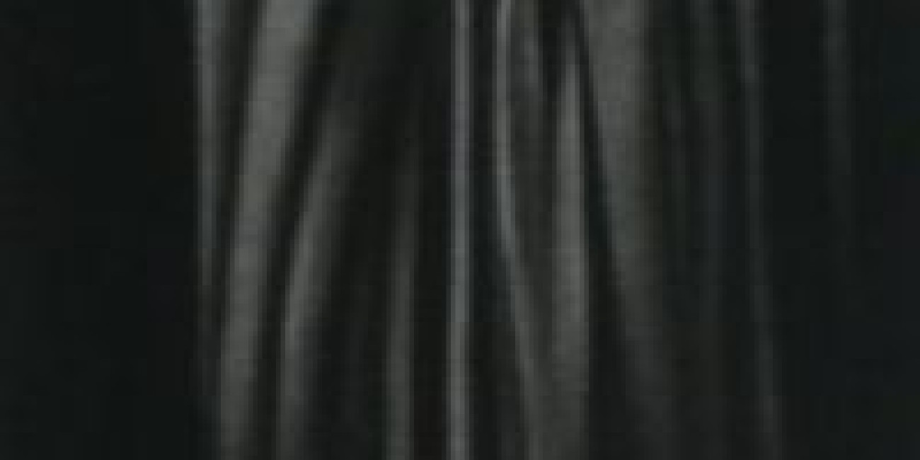 Exposição Masataka Kuroyanagi