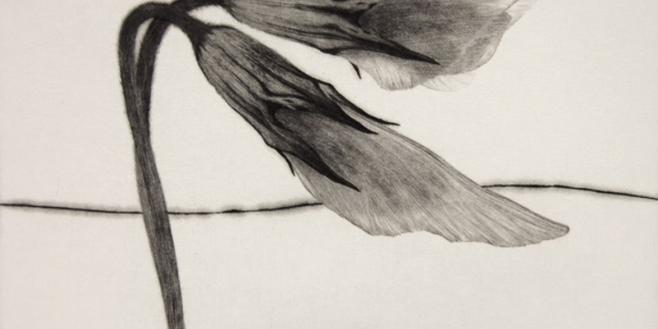 Exposição Naoji Ishiyama