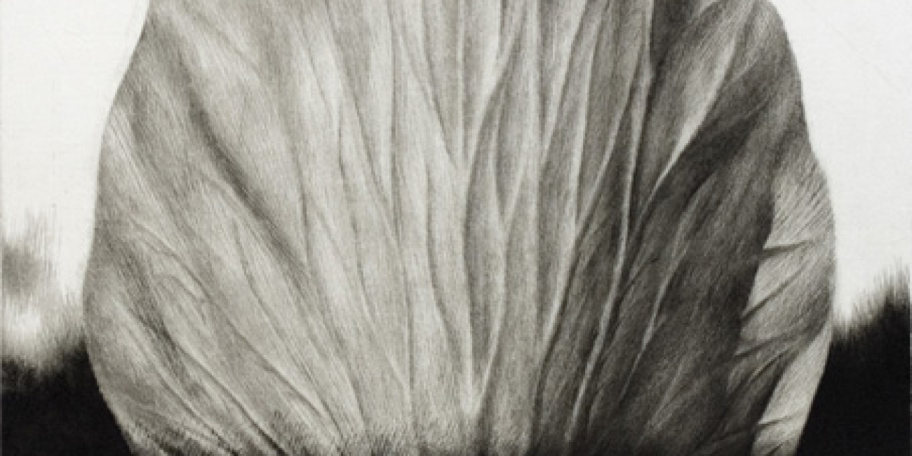 Exposição Naoji Ishiyama