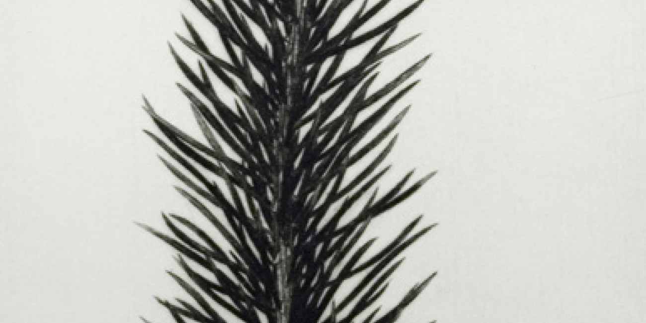 Exposição Naoji Ishiyama