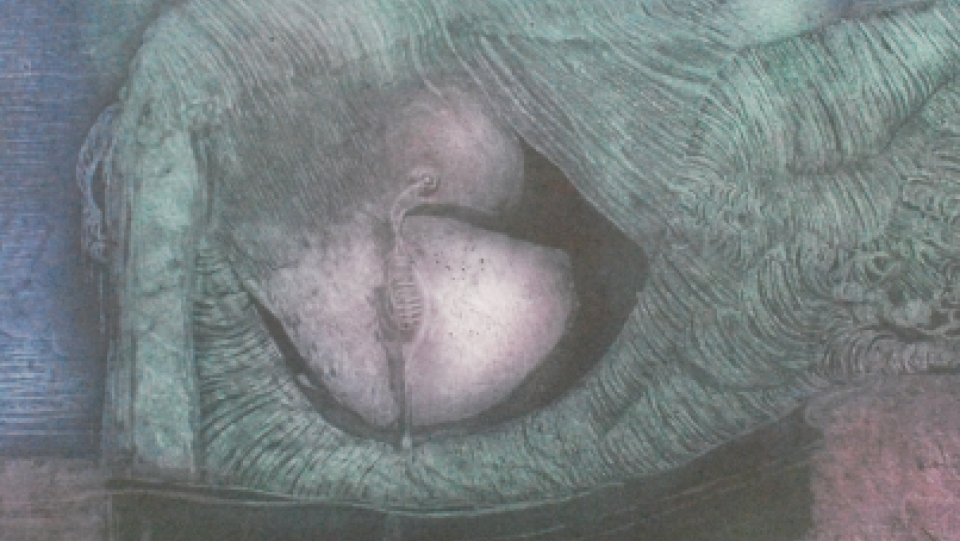 Pássaro em Fogo · água-forte, água tinta e verniz mole · 49,5x38,0cm